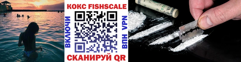 shop как зайти  Шенкурск  Cocaine FishScale 