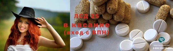 сатива Липки