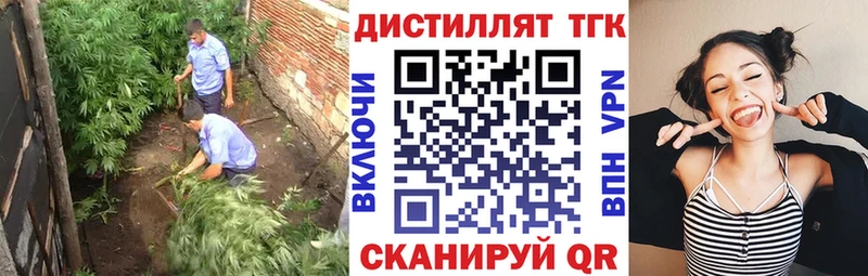 где купить наркоту  Шенкурск  ТГК концентрат 