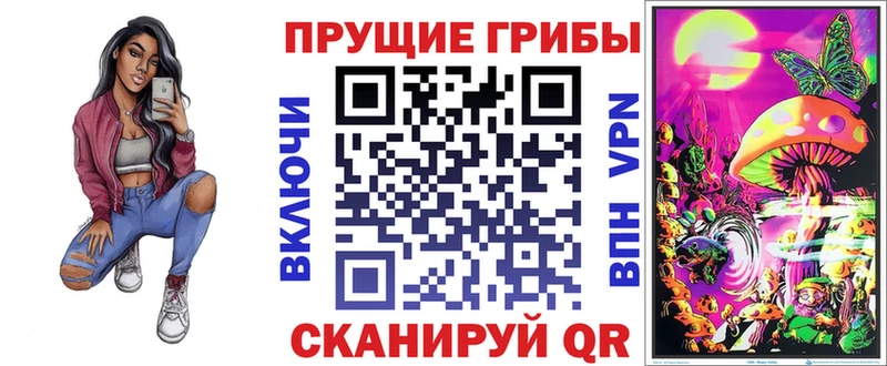 mega онион  Шенкурск  нарко площадка клад  Псилоцибиновые грибы GOLDEN TEACHER 