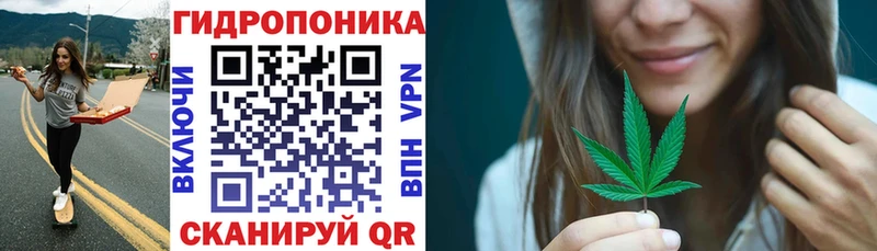 blacksprut онион  Шенкурск  Канабис Ganja 